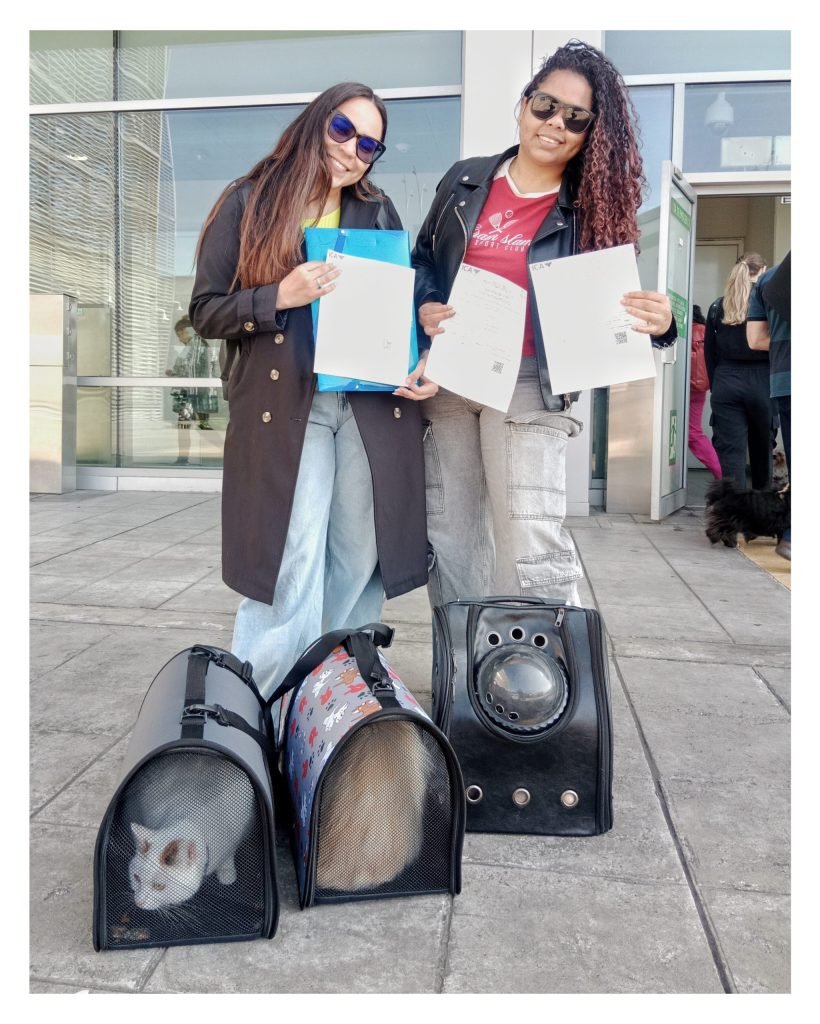 filter: 0; jpegRotation: 90; fileterIntensity: 0.000000; filterMask: 0; module:1facing:0; 
hw-remosaic: 0; 
touch: (-1.0, -1.0); 
modeInfo: ; 
sceneMode: NightHDR; 
cct_value: 0; 
AI_Scene: (0, -1); 
aec_lux: 0.0; 
hist255: 0.0; 
hist252~255: 0.0; 
hist0~15: 0.0;